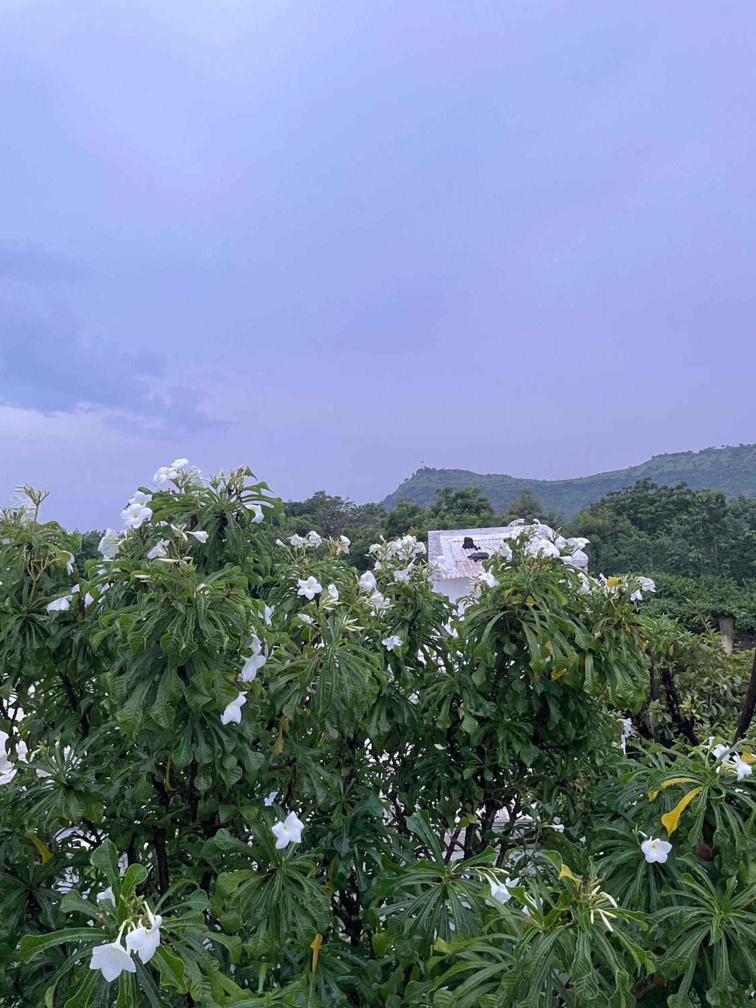 Private & Elegant 3Bhk Villa, Hillside Hideaway, 10 Mins From Mh Bus Stand Aurangabad  Buitenkant foto